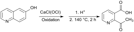 Synthese von 2-Acetylnicotinsäure aus 6-Hydroxychinolin