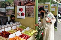 Samples of some native Afghan fruits