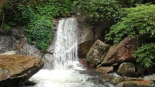 A mountain stream