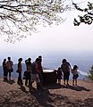 Panorama dal Königstuhl.