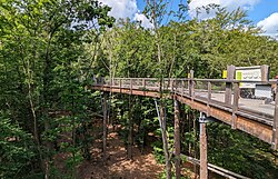 Baumwipfelpfad Usedom