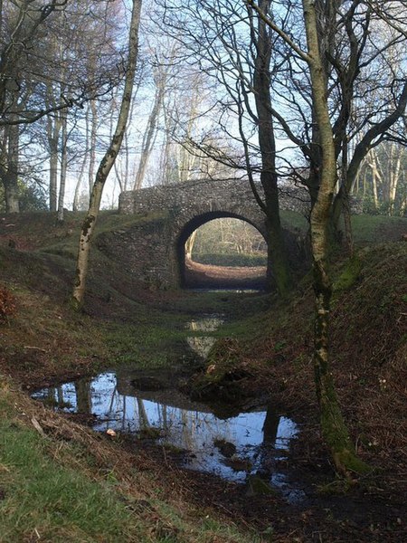 File:Bridge, Haldon Belvedere - geograph.org.uk - 687935.jpg