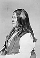 Chief Spotted Tail of the Brulé Sioux