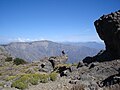 {{Monumento Nacional de Chile|2237}}