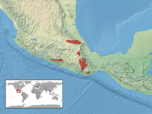 Crotalus intermedius distribution.png