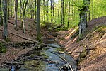 Landschaftsschutzgebiet Hasselbach