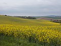 Landschaft bei Szápár