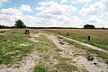 Lüneburger Heide bei Schneverdingen