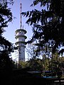 Richtfunkturm auf dem Schweinsberg