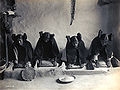 Hopių merginos (su brandos amžių rodančiomis šukuosenomis), mala grūdus (~1906 m.)