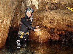 Il giacimento di Megaloceros cazioti algarensis nella grotta dei Cervi