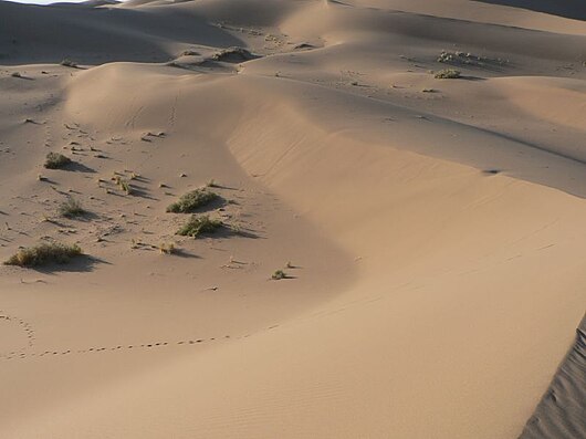 [تصویر:  530px-Kaveer-Yazd1.jpg]