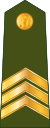 Latvia-Army-OR-5.svg