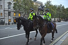 A police officer passes Buckingham Palace, London