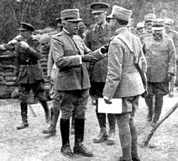 Cadorna visiting British batteries during World War I.