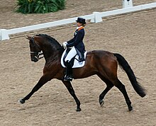 Image of a woman and a bay horse trotting