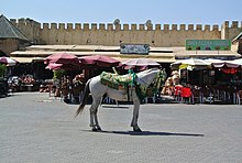 Photo en couleur d'un cheval blanc harnaché devant des magasins