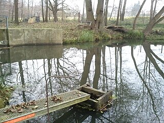 Pond water level mechanism photo