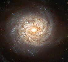 NGC 3982 - космический телескоп Хаббл, 2003.jpg