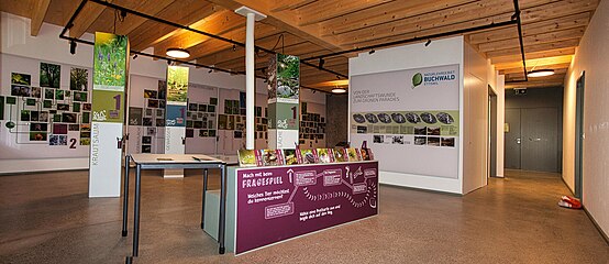 Ausstellungsraum im NLG Buchwald