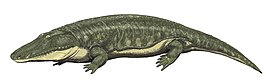 Parotosuchus