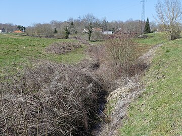 Le ruisseau des Peloux au lieu-dit Beauregard.