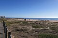 Coastal Dunes recovery project by governmental agencies.