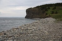 Het keienstrand van Lance Cove met in de achtergrond een klif