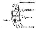 Vorschaubild der Version vom 15:14, 24. Feb. 2010