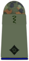 SanH 211-Leutnant-SanOA-(Veterinärmedizin).png