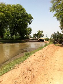 Shadia Canal.jpg