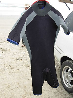 A shorty wetsuit.