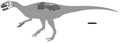 Sinotyrannus.