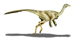 A Struthiomimus altus rekonstrukciója