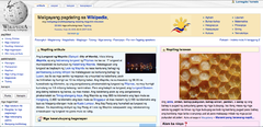 ;Taong 2009 * itiniyak noong 5 Enero ang pagtatapos sa pagsasalin ng software na MediaWiki sa Tagalog, na nangyari lalo na sa sikap ni AnakngAraw * sa wakas ng taon, may 24,109 artikulong nailikha