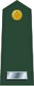 US Army O2.svg