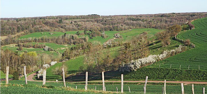 Le territoire de la commune de Vaux-Saules vu de la côte des Grands-Champs qui rejoint Cinq-Fonts. D'ici le village disparaît dans la profonde vallée de l'Ougne. On peut voir sur le versant opposé la route qui monte vers Val-de-la-Saule.