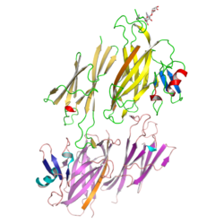Zp3 structure pdb 3nk3.png