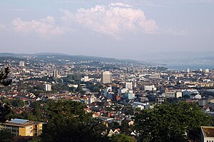 View of Zurich from Käferberg