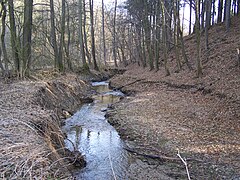 Anenské údolí (prírodná rezervácia)