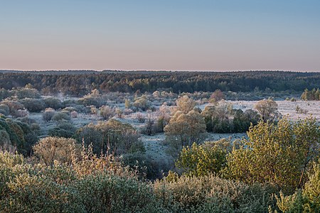 83. Национальный парк Угра — Алексей Задонский