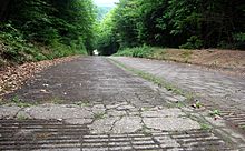 Photo d'une route d'apparence ancienne bordée de courts talus en terre et de denses rangées d'arbres.