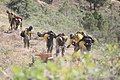 Hand crews clearing brush to protect structures near Glenwood Springs