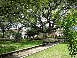 Central square and park Charalá