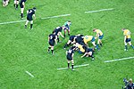 Vignette pour Rugby à XV en Nouvelle-Zélande