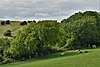 Eaglehead and Bloodstone Copses