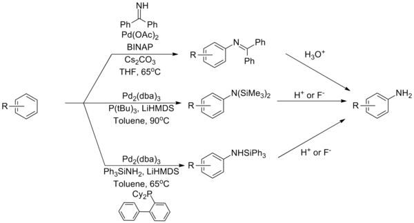 Ekvivalenty amoniaku v Buchwaldově–Hartwigově aminaci
