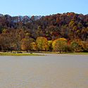 Thumbnail image of Beech Fork Lake and picnic area at Beech Fork Lake State Park