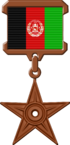 Afgʻoniston ordeni (2023)