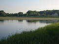 Vignette pour Parc naturel régional de la Brenne